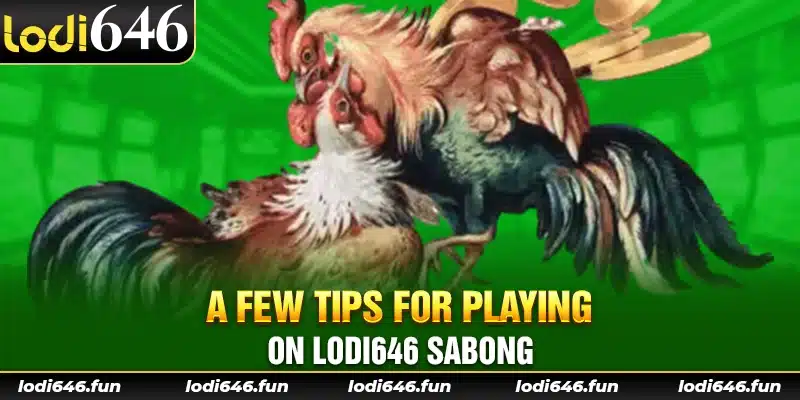 A few tips for playing on Lodi646 sabong.