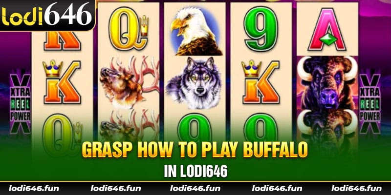 Grasp how to play Buffalo in Lodi646