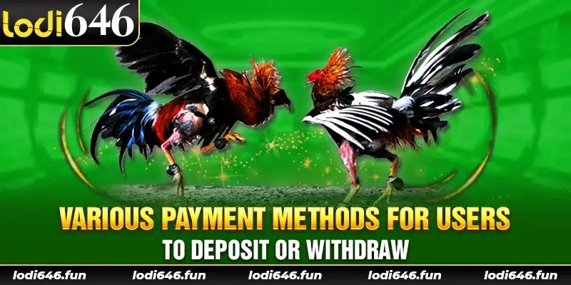 Various payment methods for users to deposit or withdraw.